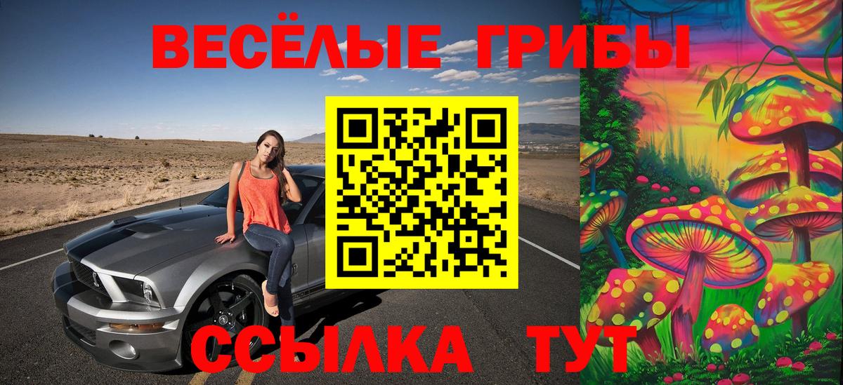 Тосно  Галлюциногенные грибы мицелий  где найти наркотики  Вход с VPN 